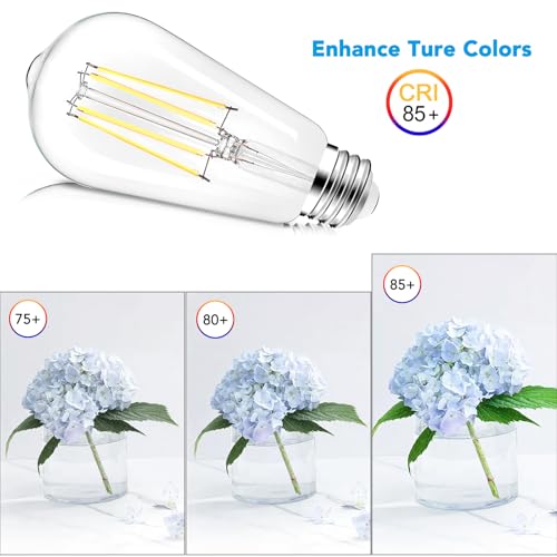 ST58 E26 LED Light Bulbs (4 Count)