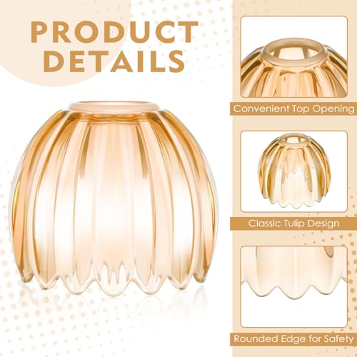 4 Pcs Glass Tulip Lamp Shade (4 Count)