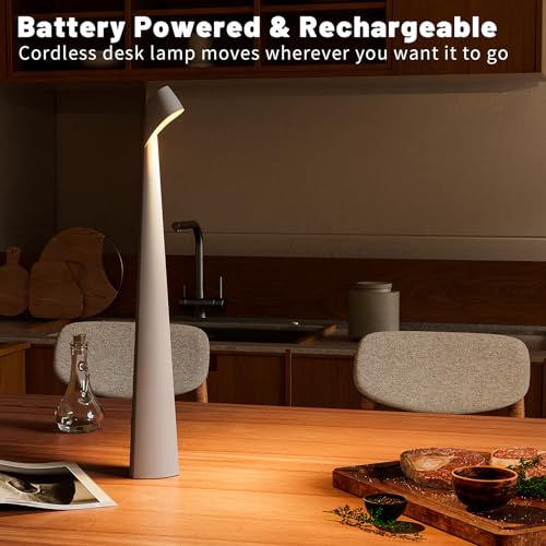 Cordless Rechargeable Reading Metal Table Lamp