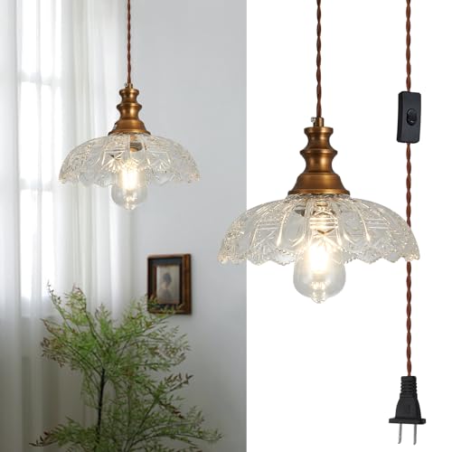 Plug in Pendant Light Industrial Pendant Lighting with Plug in Cord 9.8ft Hanging Lamps Clear Glass Shade ‎Bronze Light Fixture for Living Room Kitchen Dining Room Bedroom