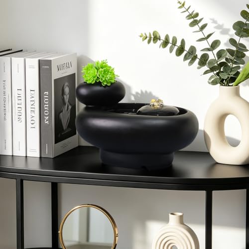 Table Fountain Indoor Water Zen Garden Decor with Succulent Plant