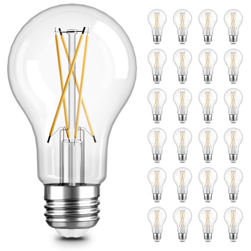 A19 LED Edison Light Bulb (24 Count)