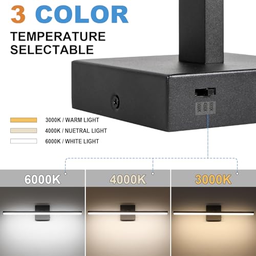 LED Bathroom Vanity Light