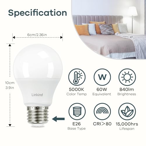 A19 LED Light Bulbs (12 Count)
