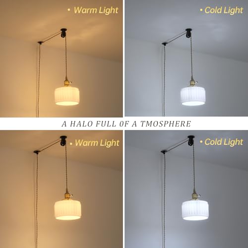 Plug in Pendant Light Hanging Light Fixture Corded On