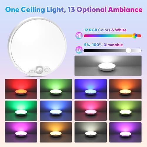 Rechargeable Motion Sensor Ceiling Light (2 Count)