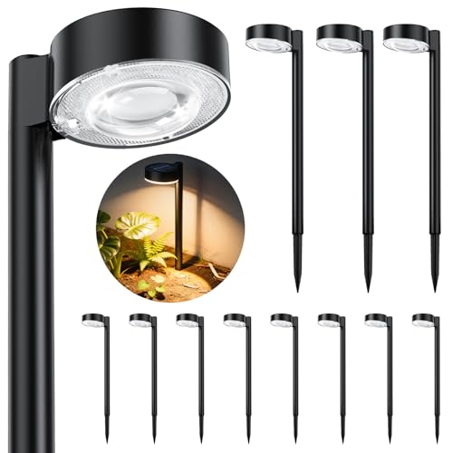 12 Pack Solar Pathway Lights Outdoor (12 Count)
