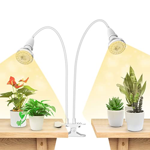 Grow Lights for Indoor Plants
