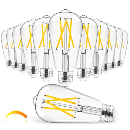 Edison Bulbs Dimmable (12 Count)