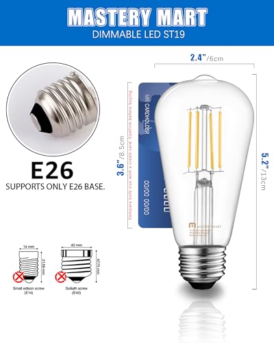 24 Pack Vintage LED Edison Bulbs (24 Count)