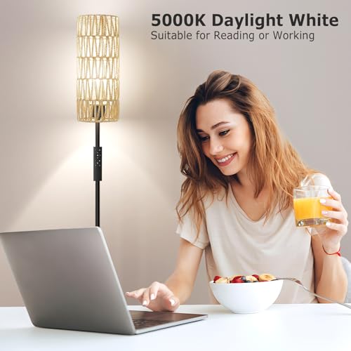 64'' Floor Lamps for Living Room with Remote Control and Stepless Dimmable Colors Temperature & Brightness