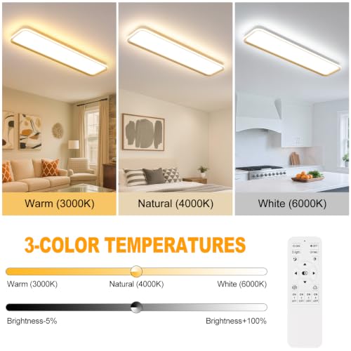 Modern LED Ceiling Light