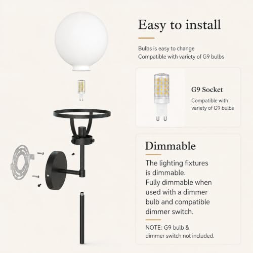 Globe Wall Sconce Indoor