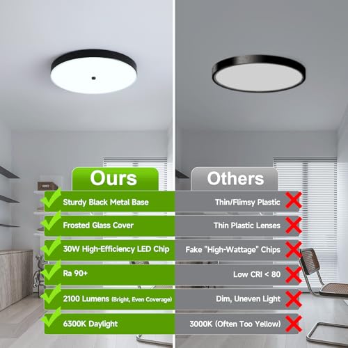 2 Pack Black Flush Mount Ceiling Light (2 Pack)