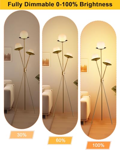 3 Globe Dimmable Tripod Floor Lamp (3 Count)