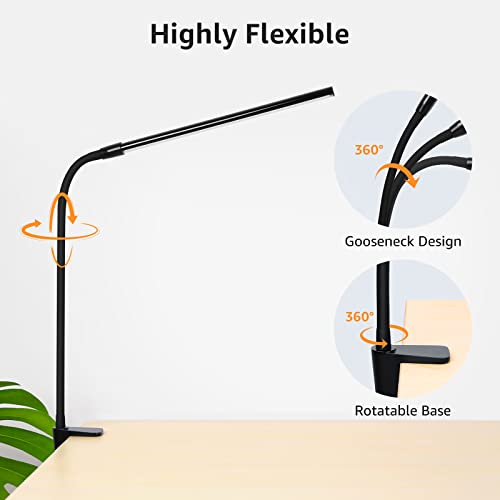 Clip on Desk Lamp