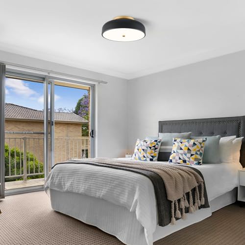 Dimmable LED Ceiling Light Fixture
