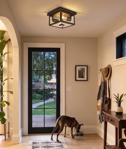 Motion Sensor Outdoor Ceiling Light with Remote