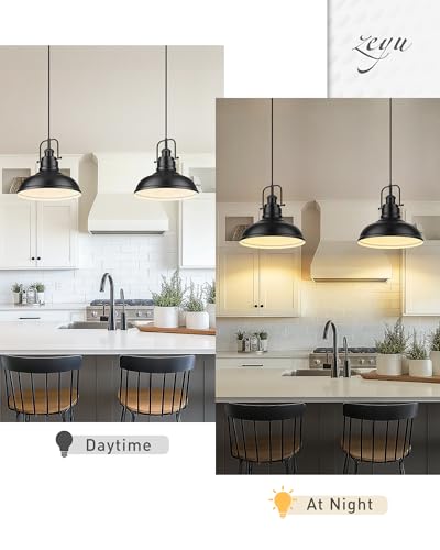 1 Light Industrial Pendant Light