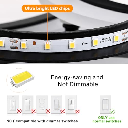 Modern LED Ceiling Light