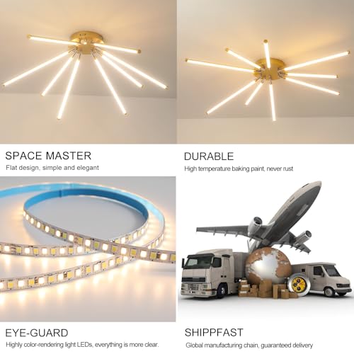 Modern LED Ceiling Light