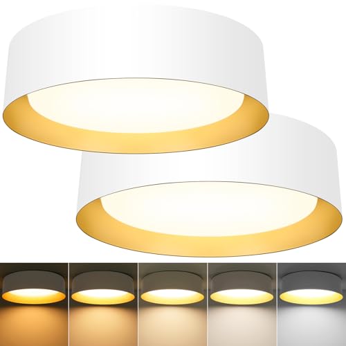 Flush Mount Ceiling Light