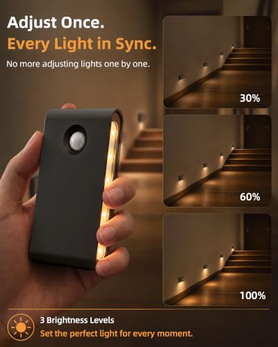 6 Pack Motion Sensor Night Lights with Charging Station (6 Count)