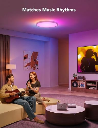 Smart Ceiling Light