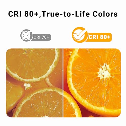 BR30 LED Light Bulbs
