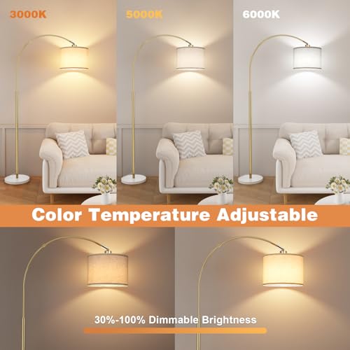 Dimmable Arc Floor Lamp with Remote