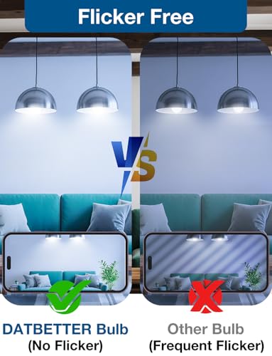 LED Light Bulbs (6 Count)