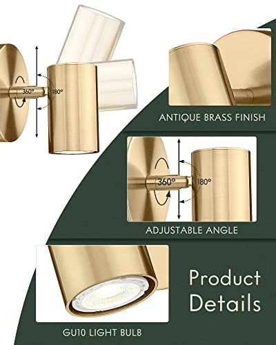 1 Light Wall Sconce