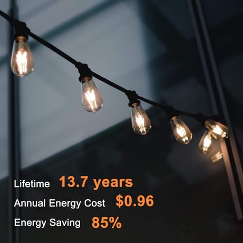 24 Pack Edison LED Light Bulbs (24 Count)