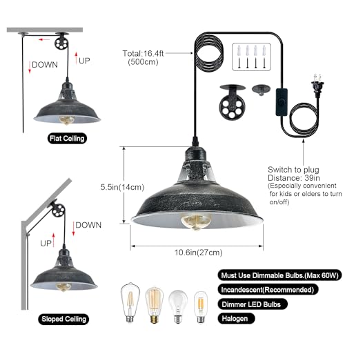 Plug in Pendant Light With Switch