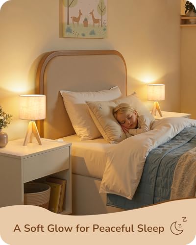 Small Table Lamp