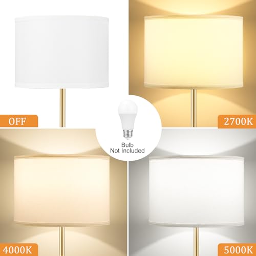 60'' Modern Floor Lamp with Shade