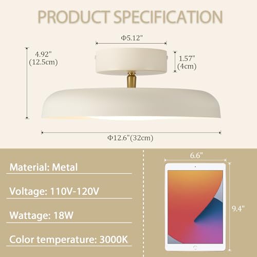 Modern LED Ceiling Light