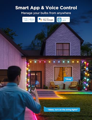 Smart Outdoor String Lights 2 (144 Foot)