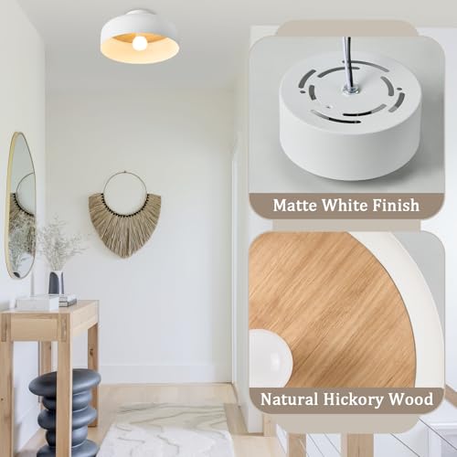 Semi Flush Mount Ceiling Light