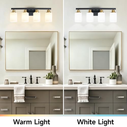 Black and Gold Bathroom Light Fixtures 4