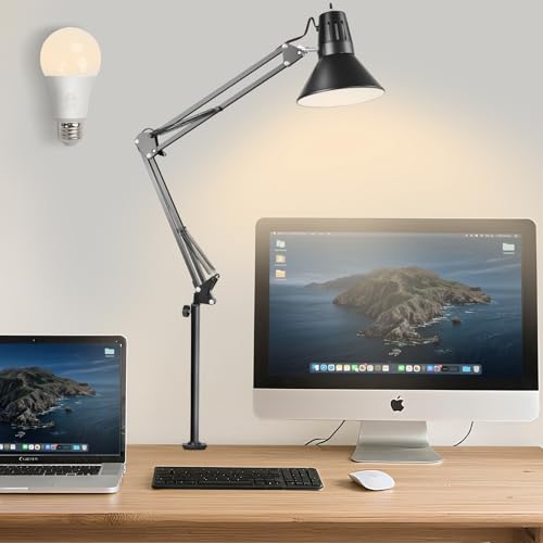 LED Clamp on Desk Lamp