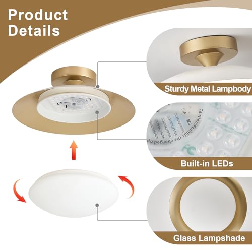 Dimmable Modern Mid