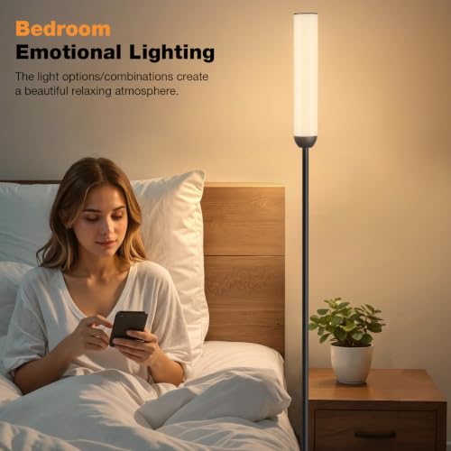 LED Floor Lamp with Remote Control