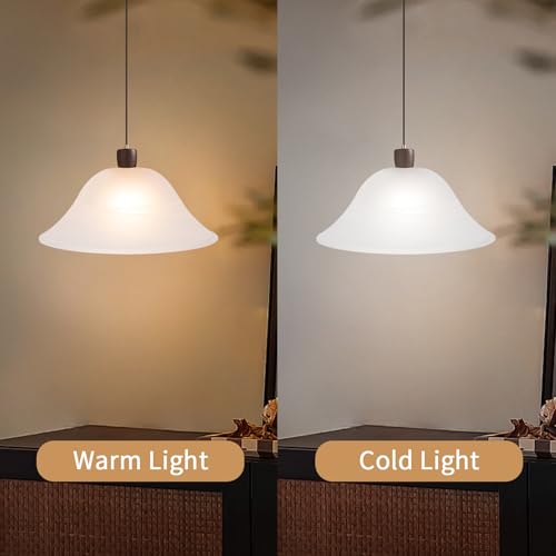 Glass Lamp Shade Replacement for Torchiere Floor Lamps