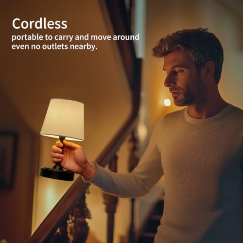 Small Cordless Lamp Dimmable