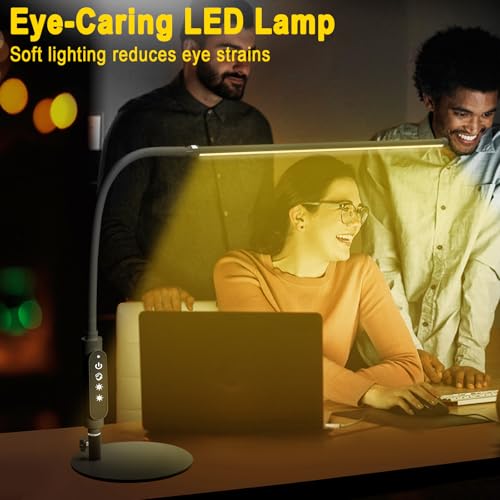 LED Desk Lamp