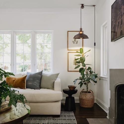 Plug in Pendant Light with 16FT Cord