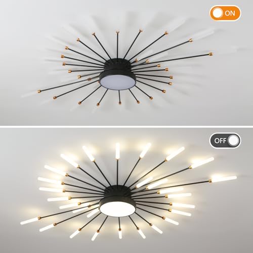 Modern Ceiling Light
