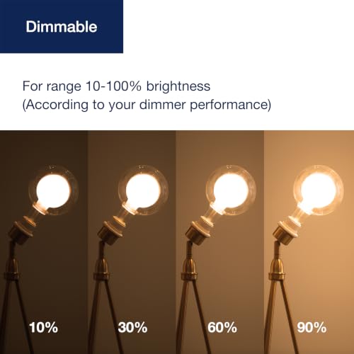 G125 Decorative Large Globe LED Bulb
