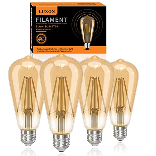 LED Edison Bulbs